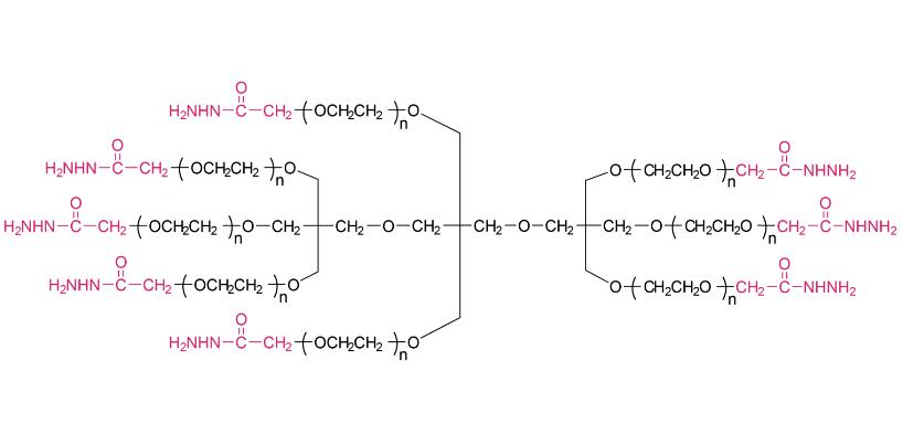 八臂聚乙二醇-酰肼,八臂PEG-酰肼8Arm-PEG-Hydrazide，8Arm-PEG-HZ 