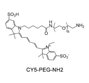 CY5-聚乙二醇氨基，CY5-PEG氨基Cyanine5-PEG-Amine, CY5-PEG-NH2 
