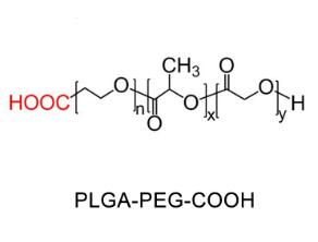 聚乳酸-羥基乙酸共聚物聚乙二醇羧基，聚乳酸-羥基乙酸共聚物PEG羧基PLGA-PEG-COOH 