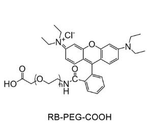 羅丹明聚乙二醇羧基，羅丹明PEG羧基Rhodamine PEG Acid, RB-PEG-COOH 