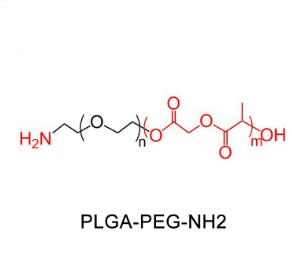 聚乳酸-羥基乙酸共聚物聚乙二醇氨基，聚乳酸-羥基乙酸共聚物PEG氨基PLGA-PEG-NH2，PLGA-PEG-Amine 