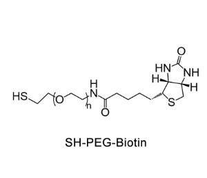 生物素聚乙二醇巰基，生物素PEG巰基Biotin-PEG-Thiol，Biotin-PEG-SH 