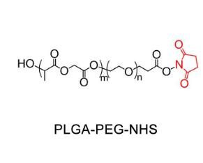 聚乳酸-羥基乙酸共聚物PEG活性酯PLGA-PEG-SCM，PLGA-PEG-NHS；聚乳酸-羥基乙酸共聚物聚乙二醇活性酯 
