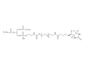 二油酰磷脂酰乙醇胺PEG生物素DOPE-PEG-BIOTIN；二油酰磷脂酰乙醇胺聚乙二醇生物素 