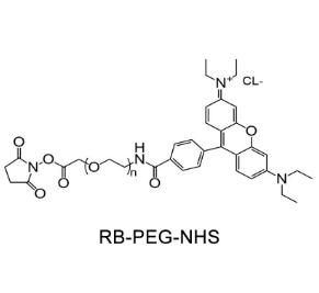 羅丹明PEG活性酯Rhodamine PEG NHS, RB-PEG-SCM；羅丹明聚乙二醇活性酯 