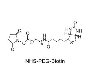 生物素PEG活性酯Biotin-PEG-NHS，Biotin-PEG-SCM；生物素聚乙二醇活性酯 