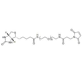 生物素PEG馬來酰亞胺Biotin-PEG-Maleimide，Biotin-PEG-MAL,;生物素聚乙二醇馬來酰亞胺 