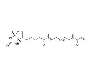 丙烯酰胺PEG生物素AcA-PEG-BIOTIN，ACA-PEG-BIOTIN,丙烯酰胺聚乙二醇生物素 
