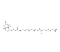 聚己內(nèi)酯PEG生物素PCL-PEG-BIOTIN，PCL-PEG-BIOTIN,聚己內(nèi)酯聚乙二醇生物素 