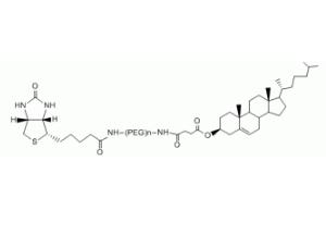 膽固醇PEG生物素Cholesterol-PEG-BIOTIN，CLS-PEG-BIOTIN,膽固醇聚乙二醇生物素 